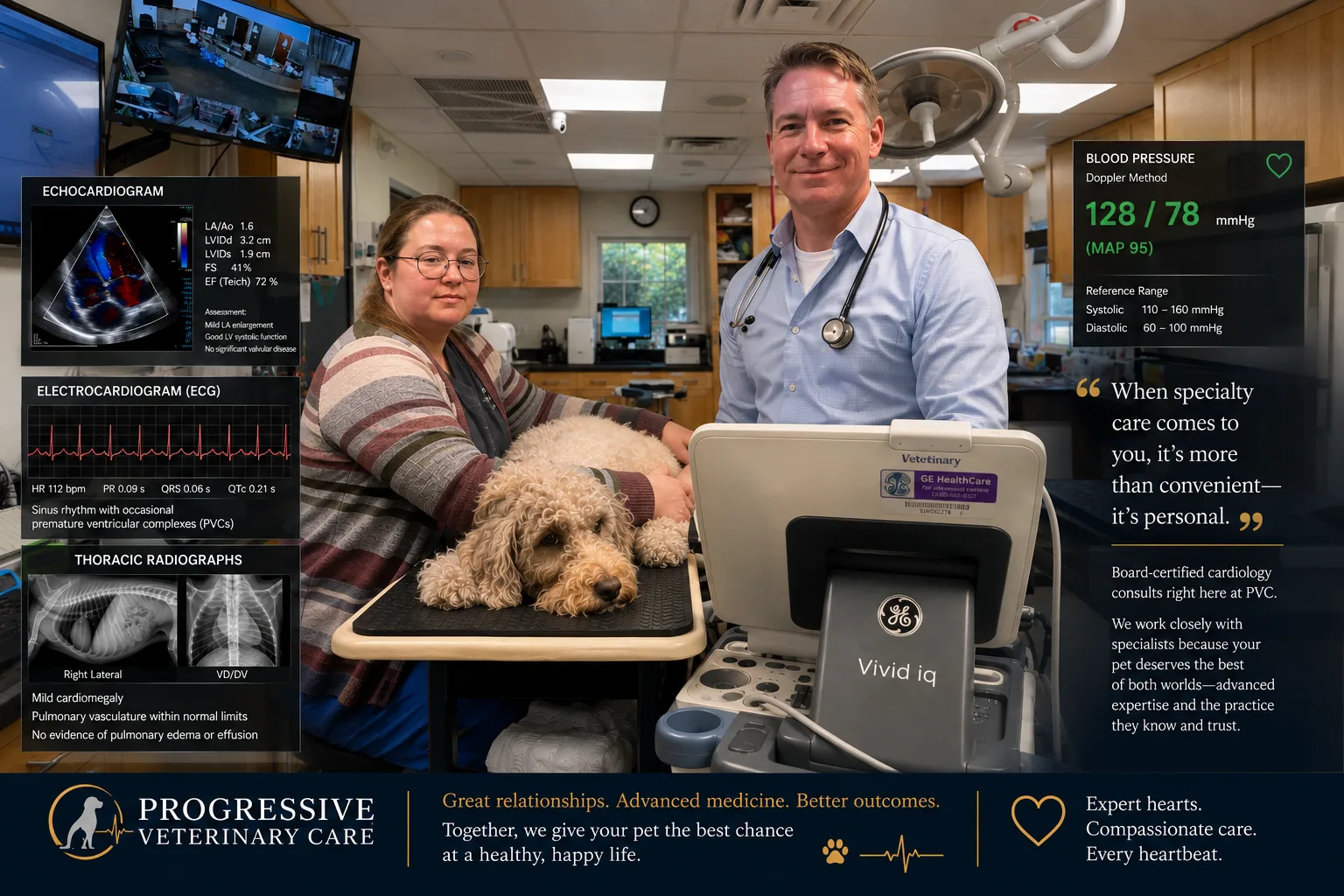 Cardiology at Progressive Veterinary Care — echocardiogram, ECG and thoracic radiograph readouts alongside a dog's in-house heart workup
