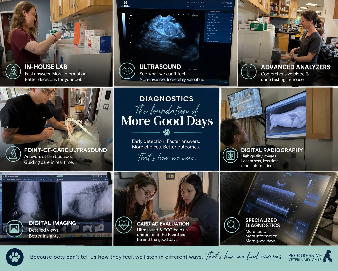 Diagnostics at Progressive Veterinary Care — in-house lab, ultrasound, digital radiography and advanced analyzers