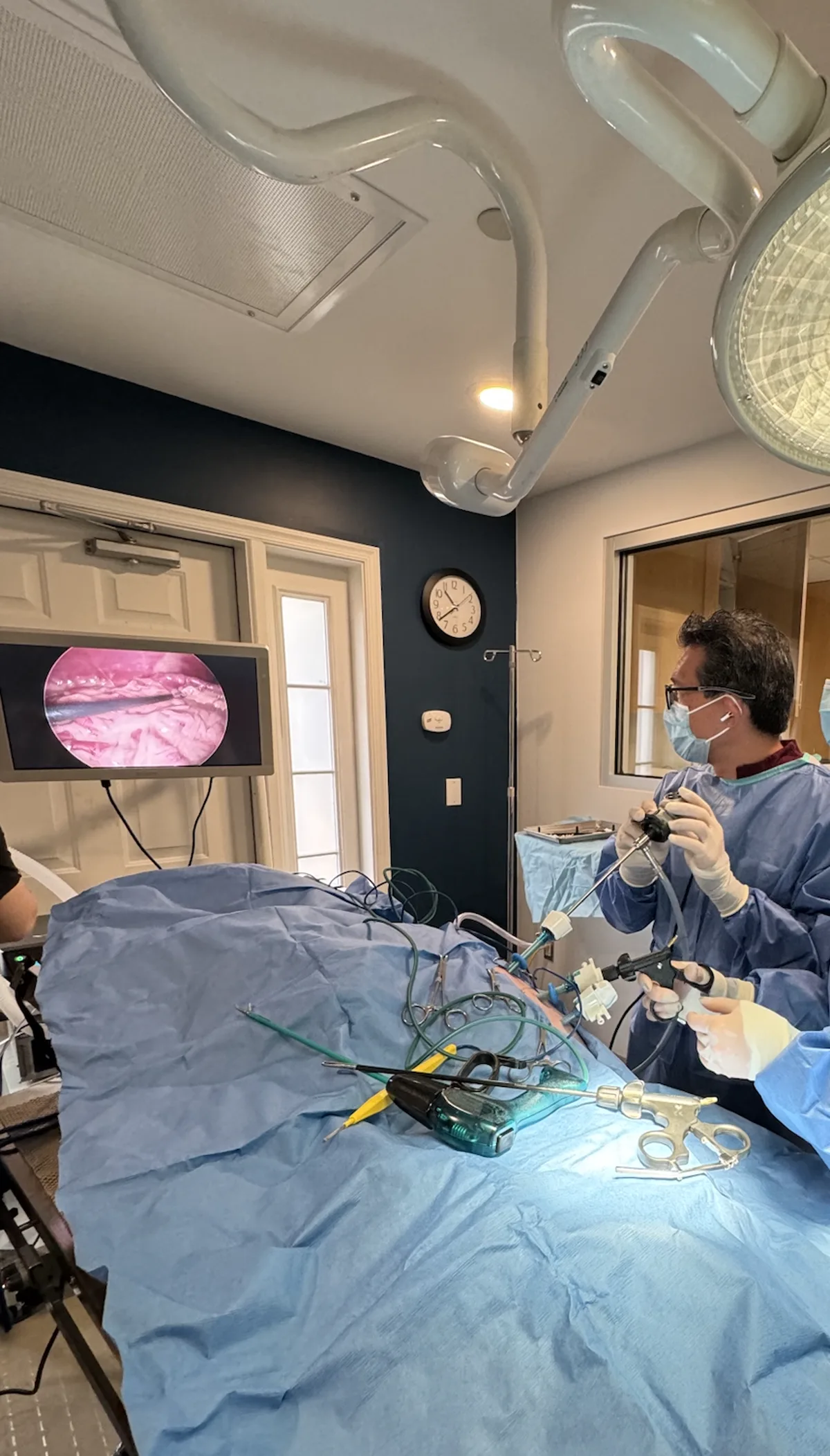Laparoscopic surgery at Progressive Veterinary Care