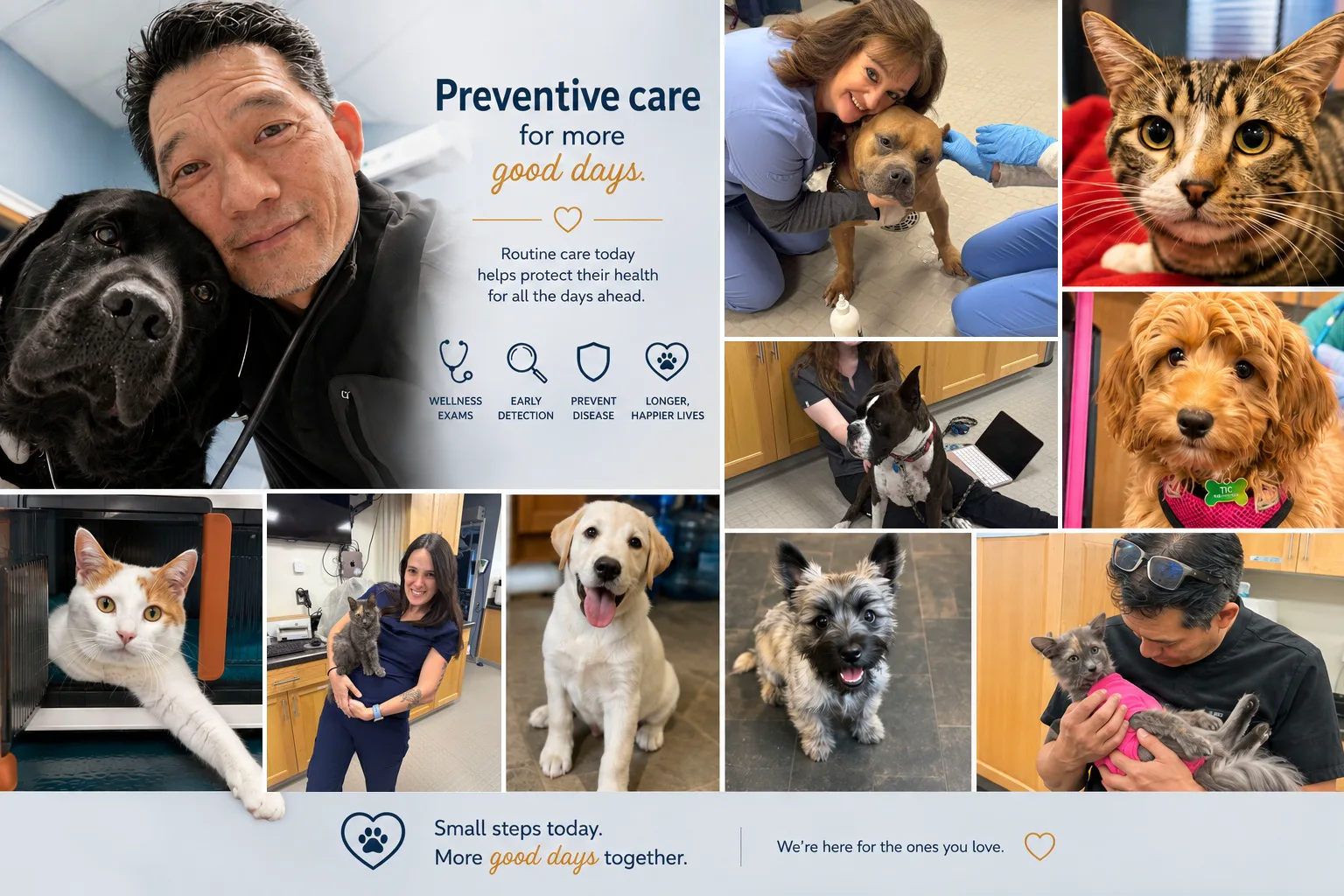 Preventive care for more good days — the Progressive Veterinary Care team with healthy dogs, cats, puppies and kittens