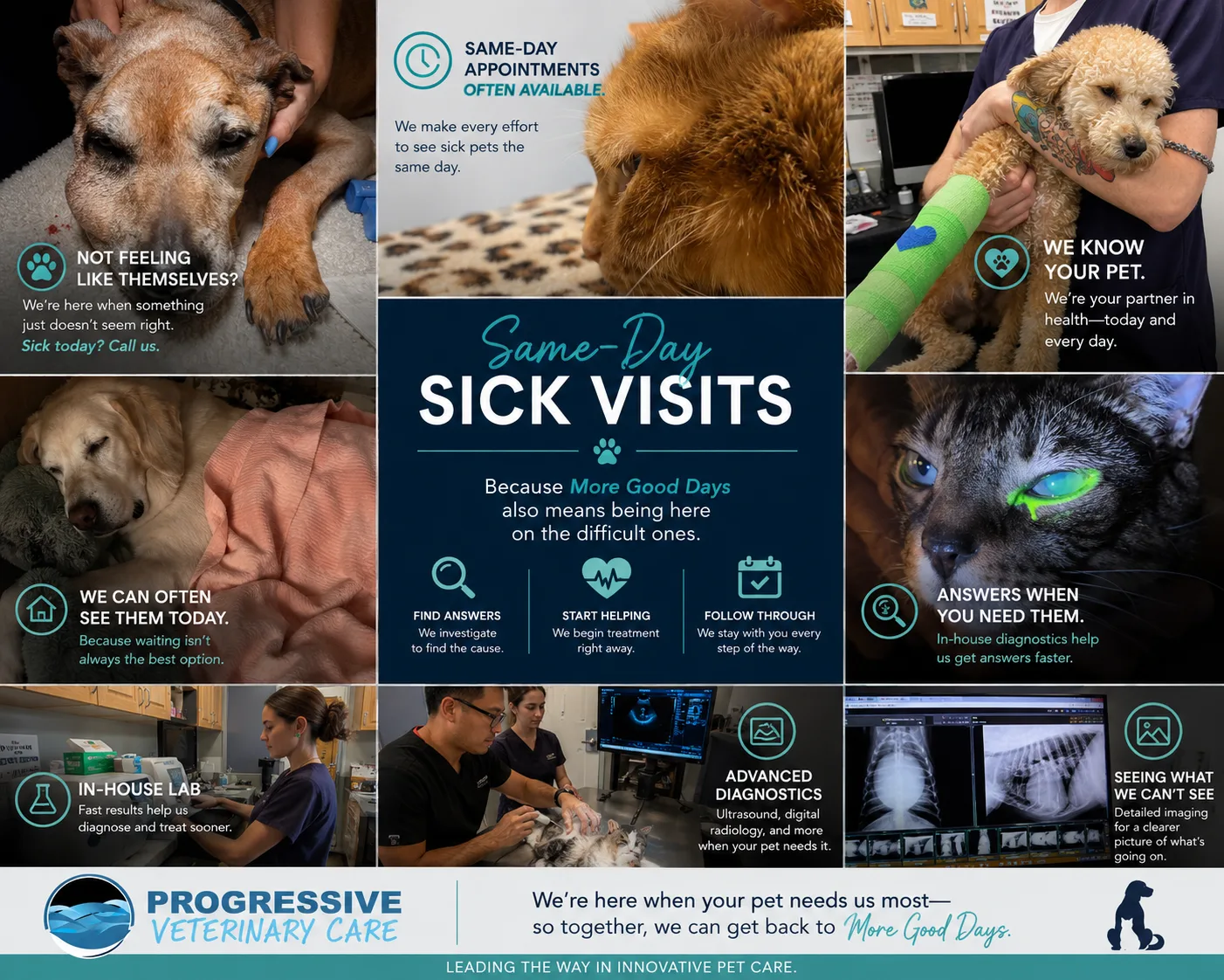 Same-day sick visits at Progressive Veterinary Care — every effort to see sick pets the same day, backed by the in-house lab and advanced diagnostics