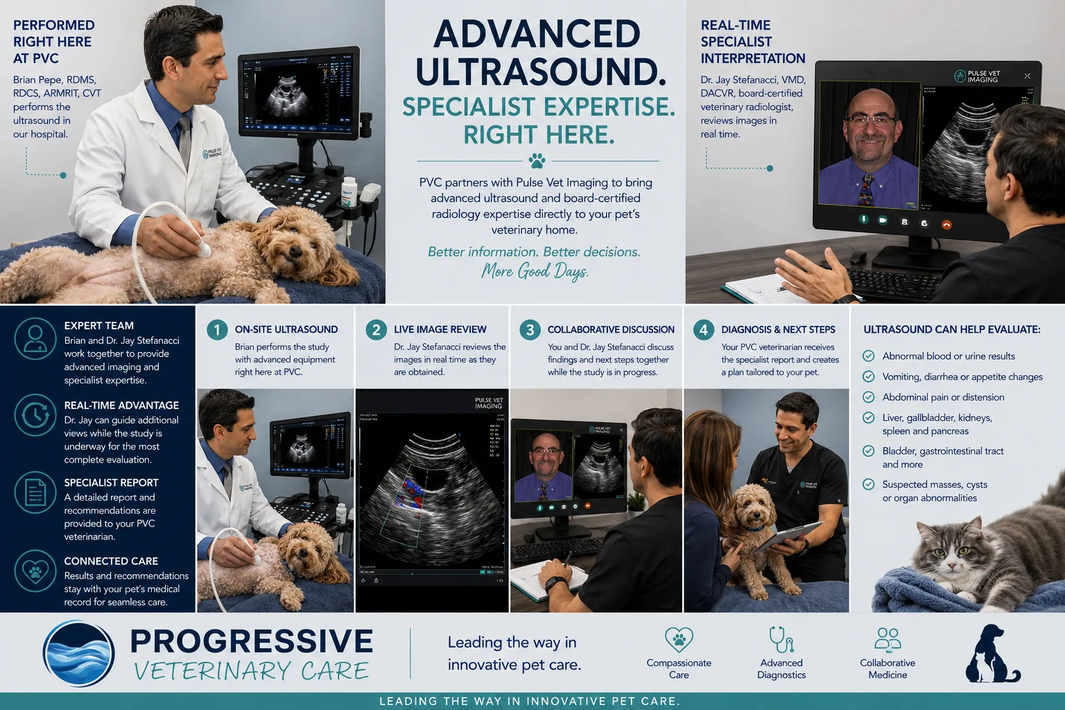 Advanced ultrasound at Progressive Veterinary Care with Pulse Vet Imaging — on-site studies with real-time board-certified radiologist review