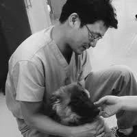 Dr. Dennis Ting